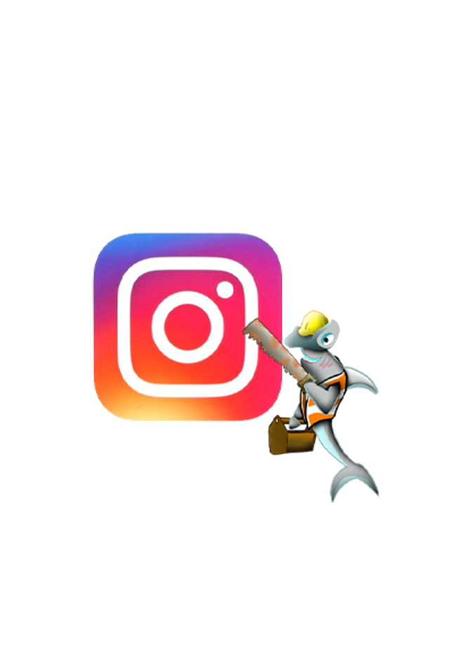 Look at the cool Instagram!